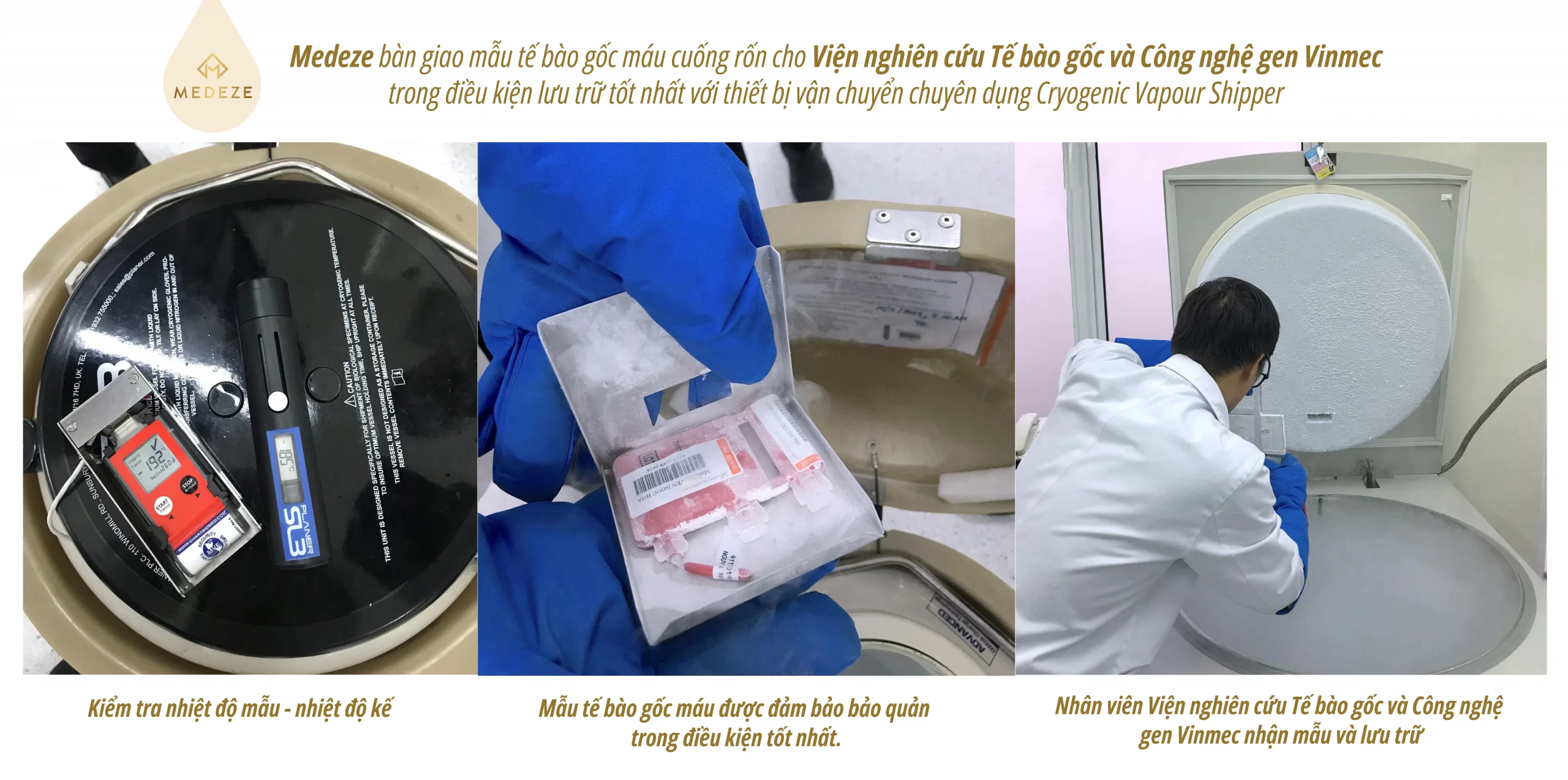 Medeze bàn giao mẫu tế bào gốc máu cuống rốn cho Viện nghiên cứu Tế bào gốc và Công nghệ gen Vinmec trong điều kiện lưu trữ tốt nhất với thiết bị vận chuyển chuyên dụng Cryogenic Vapour Shipper