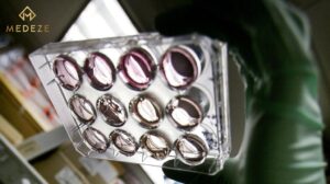 Tế bào gốc điều trị HIV