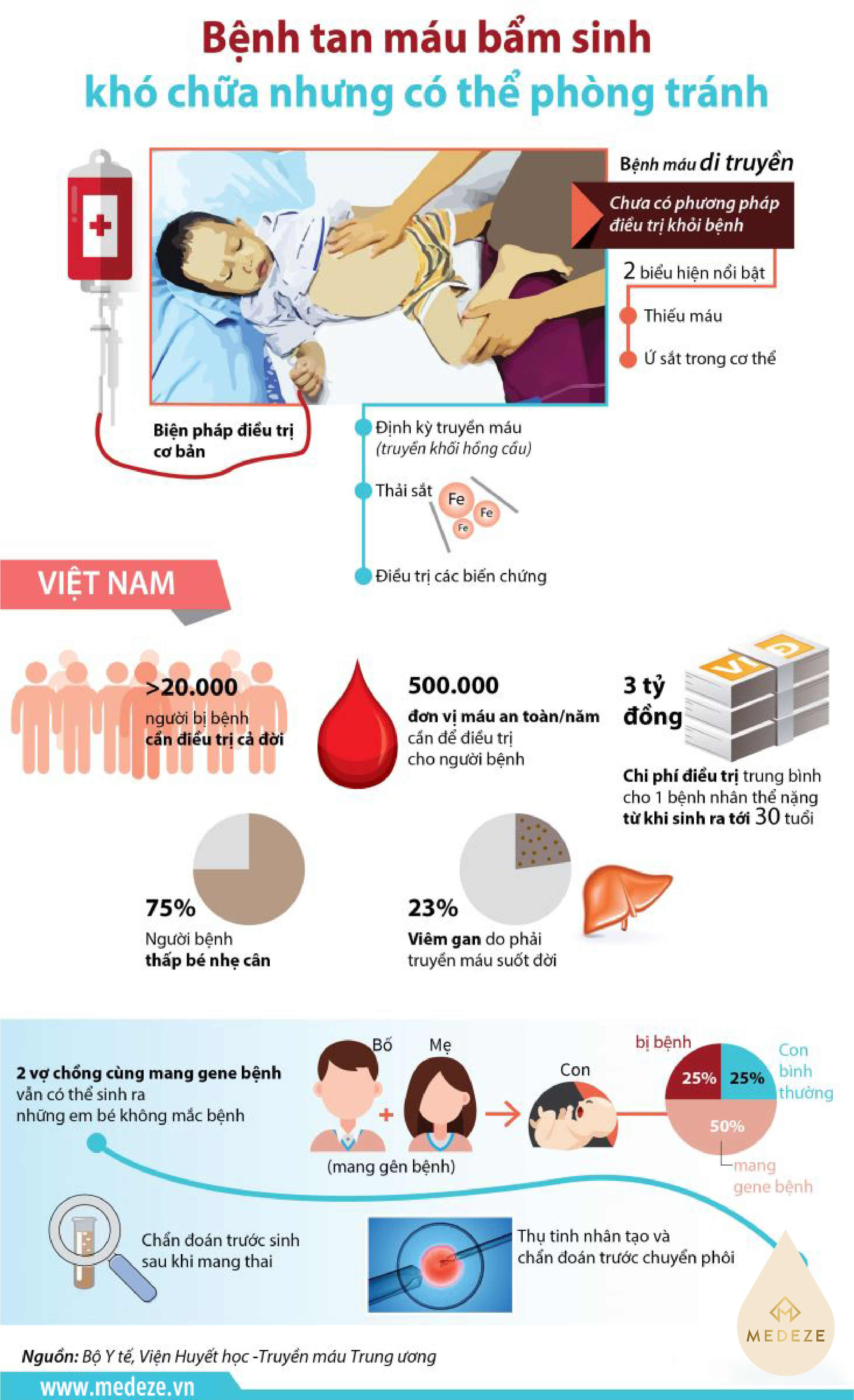 Infographic bệnh tan máu bẩm sinh - Thalassemia - bệnh di truyền gen lặn cần lưu ý