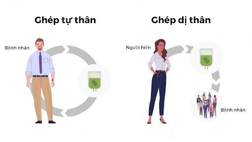 Liệu pháp tế bào gốc trong điều trị ung thư Liệu pháp tế bào gốc trong điều trị ung thư
