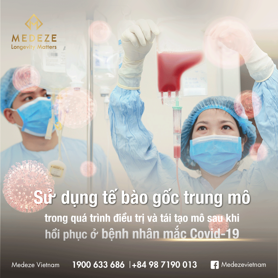 Sử dụng tế bào gốc trung mô trong quá trình điều trị và tái tạo mô sau khi hồi phục ở bệnh nhân mắc Covid-19 Sử dụng tế bào gốc trung mô trong quá trình điều trị và tái tạo mô sau khi hồi phục ở bệnh nhân mắc Covid-19