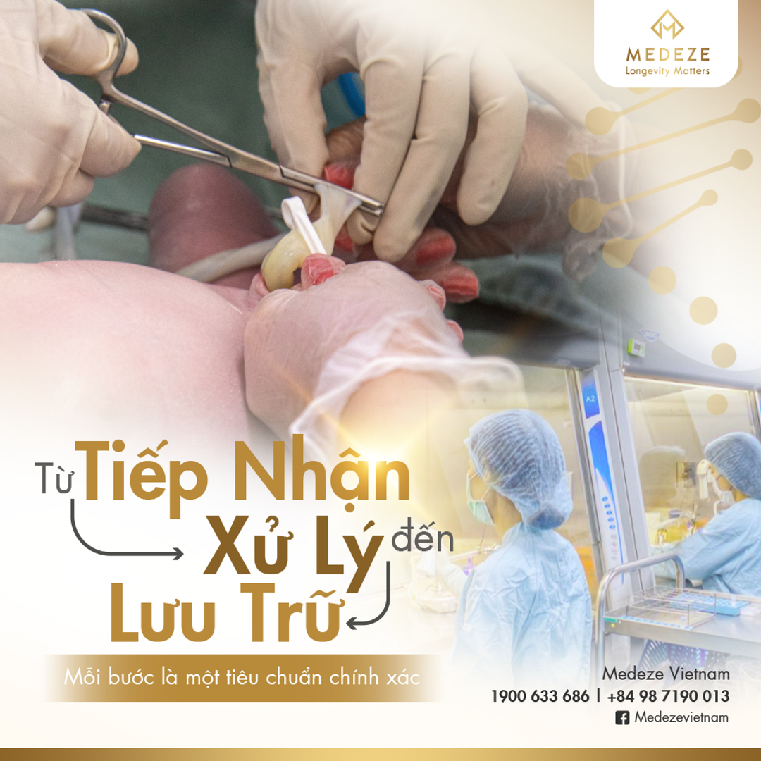 Ngân Hàng Mô Medeze Việt Nam: Mạng Lưới Bệnh Viện Đối Tác & Quy Trình Lưu Trữ Tế Bào Gốc Chuẩn Quốc Tế Tiêu chuẩn quốc tế là nền tảng cho sự an tâm dài hạn.Medeze vận hành trong hệ sinh thái Medeze Group, tuân thủ các chuẩn mực khoa học và kiểm soát chất lượng quốc tế như AABB, NEBB, Cleanroom Class 100... Đây là nền tảng giúp hệ thống lưu trữ được xây dựng cho hành trình nhiều thập kỷ.
