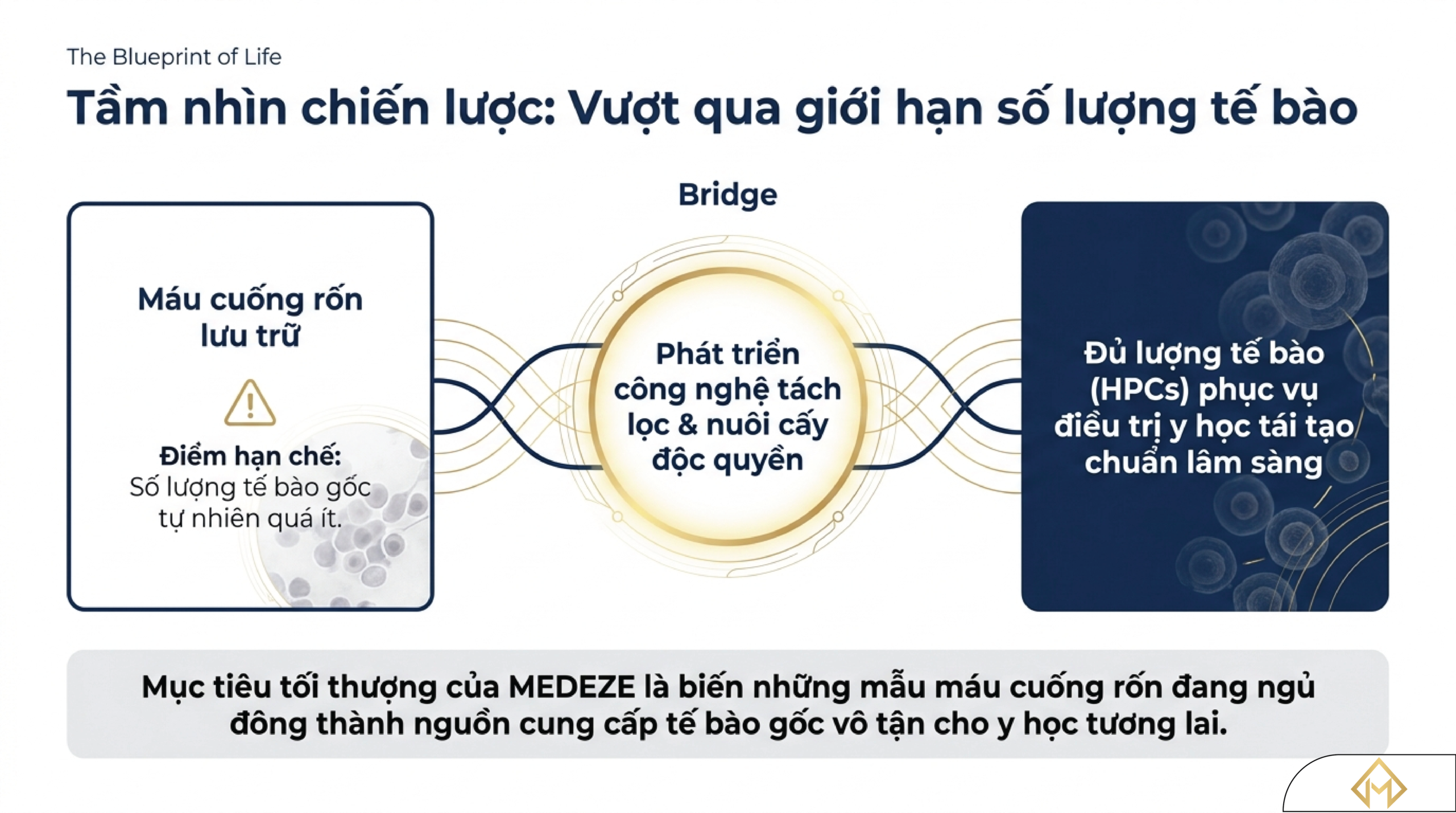 Công Nghệ Tăng Sinh Tế Bào Gốc Máu Cuống Rốn: Giải Pháp Vượt Rào Cản Cân Nặng Cho Người Trưởng Thành